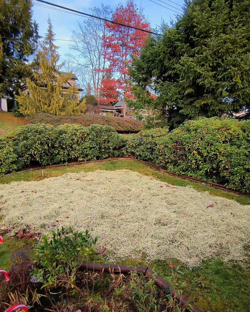 Adding mulch to composting completed